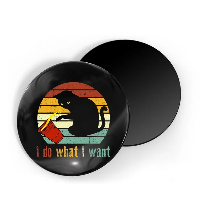 I Do What I Want Cat Coffee Black Cat Red Cup Funny Magnet