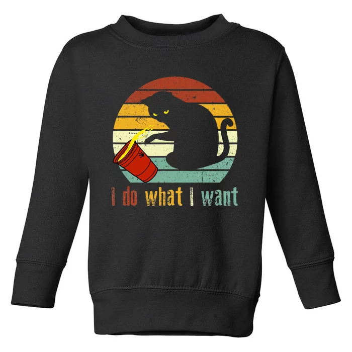 I Do What I Want Cat Coffee Black Cat Red Cup Funny Toddler Sweatshirt