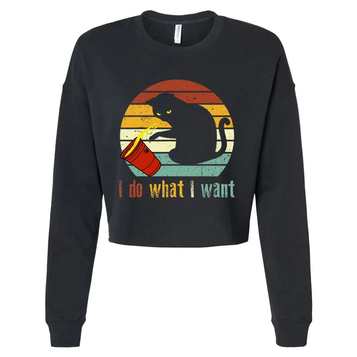 I Do What I Want Cat Coffee Black Cat Red Cup Funny Cropped Pullover Crew