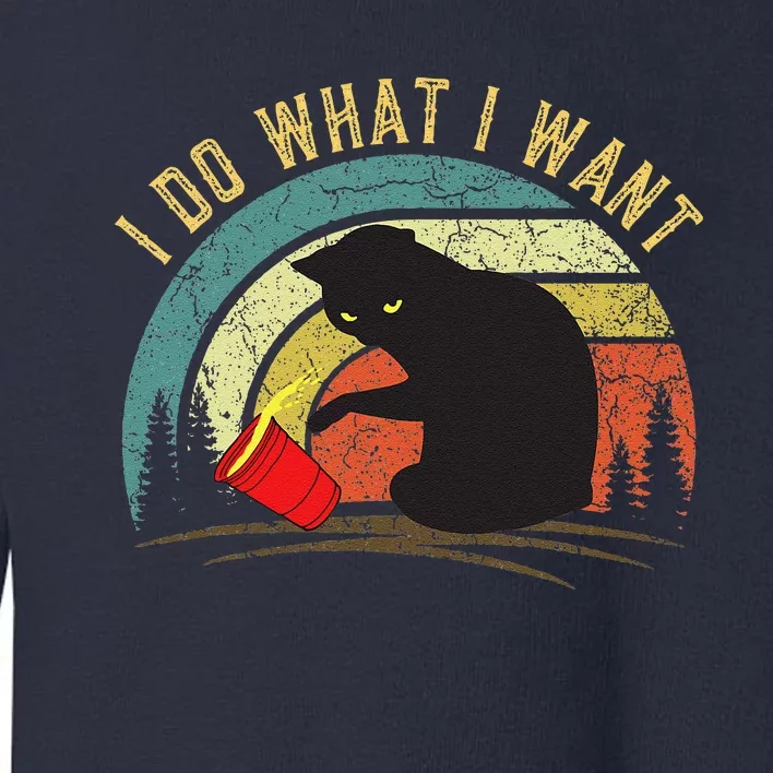 I Do What I Want Cat Coffee Black Cat Red Cup Funny Graphic (1) Toddler Sweatshirt