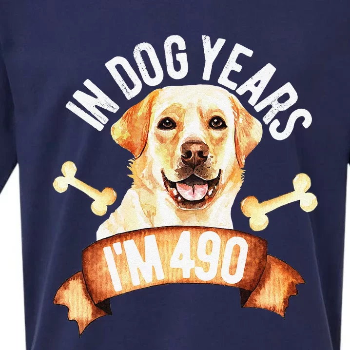 In Dog Years I'm 490 70 Year Old Birthday Gift Saying Meme Sueded Cloud Jersey T-Shirt