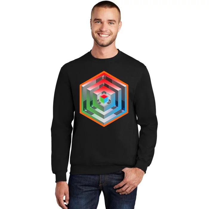 Ingress Echo Anomaly Tall Sweatshirt