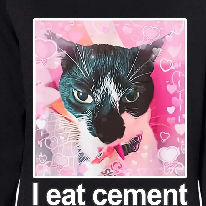 I Eat Cement Cat Funny Cat Womens California Wash Sweatshirt