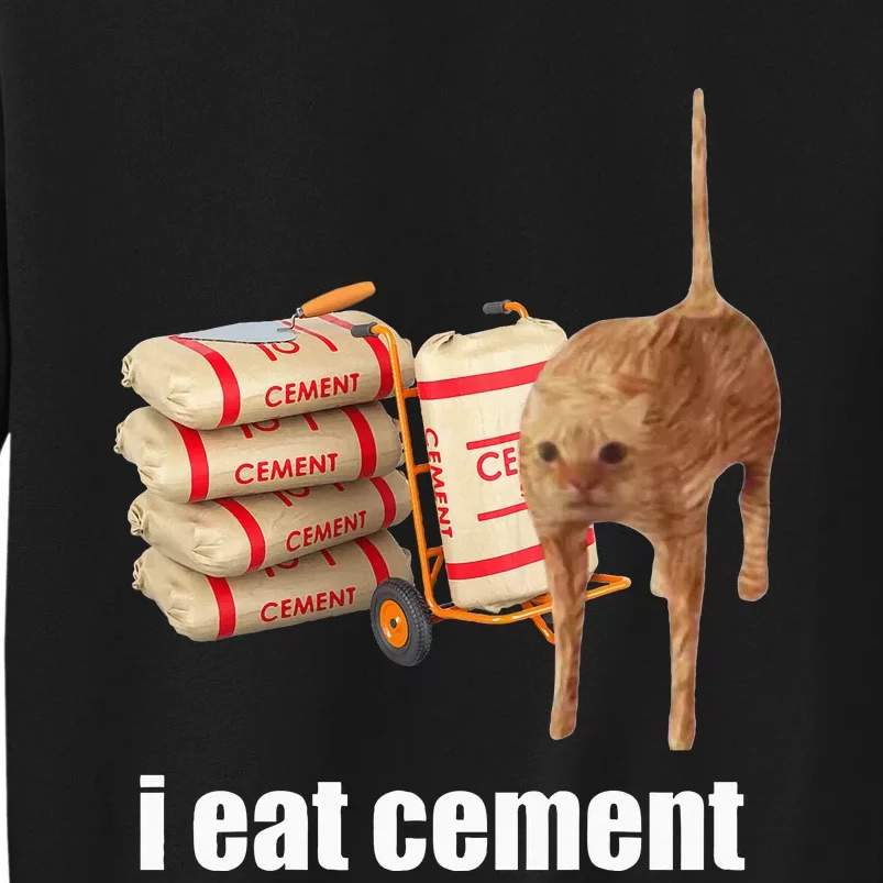 I Eat Cement Cursed Cat Funny Oddly Specific Weird Sweatshirt