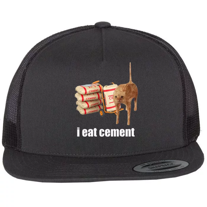 I Eat Cement Cursed Cat Funny Oddly Specific Weird Flat Bill Trucker Hat