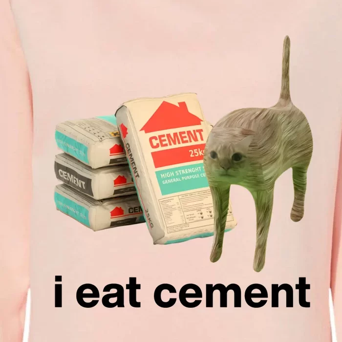 I Eat Cement Cursed Cat Funny Womens California Wash Sweatshirt