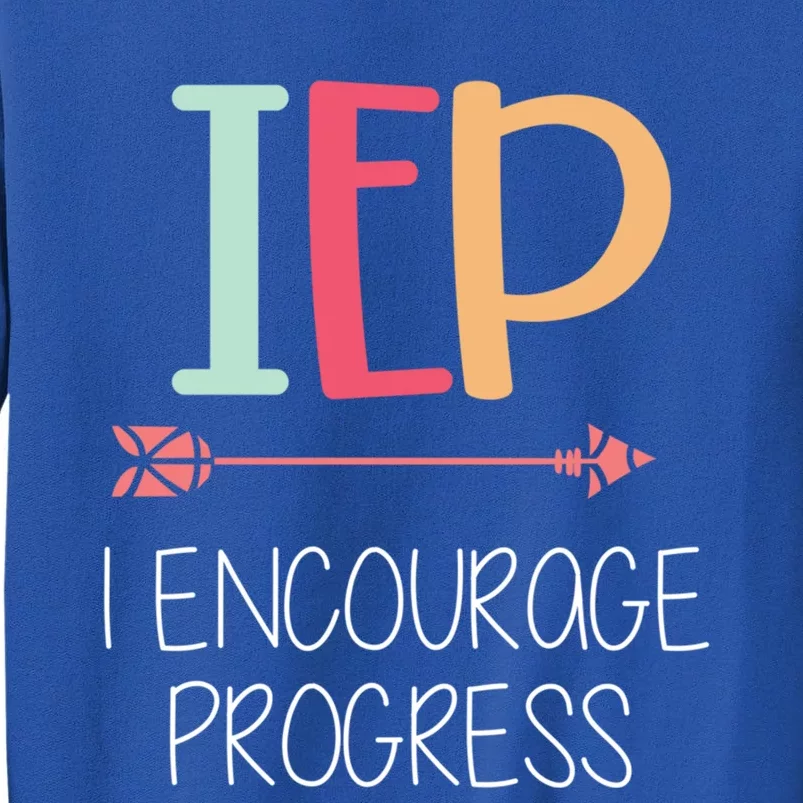 I Encourage Progress Special Education Teacher Gift Great Gift Tall Sweatshirt