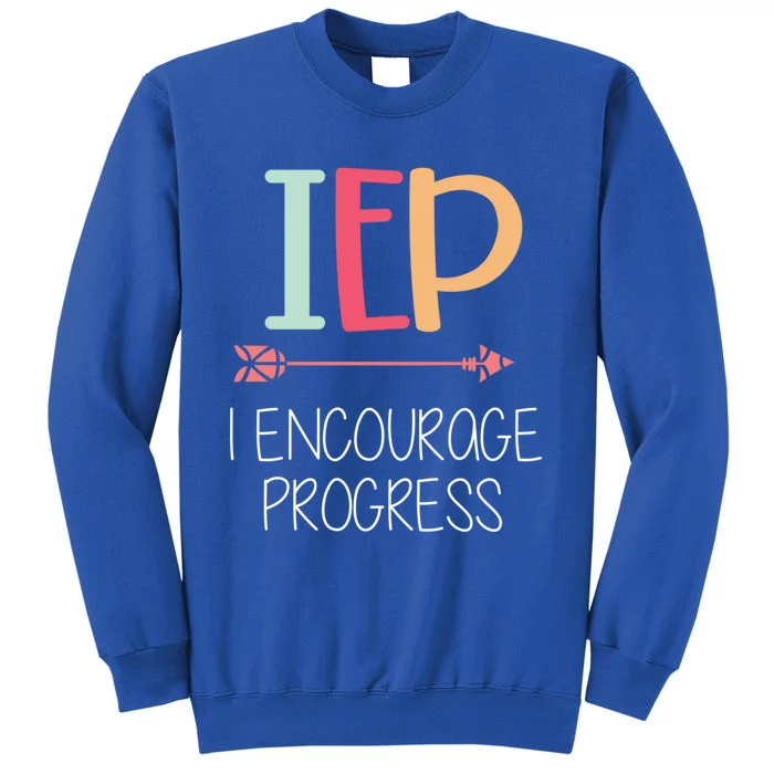 I Encourage Progress Special Education Teacher Gift Great Gift Tall Sweatshirt