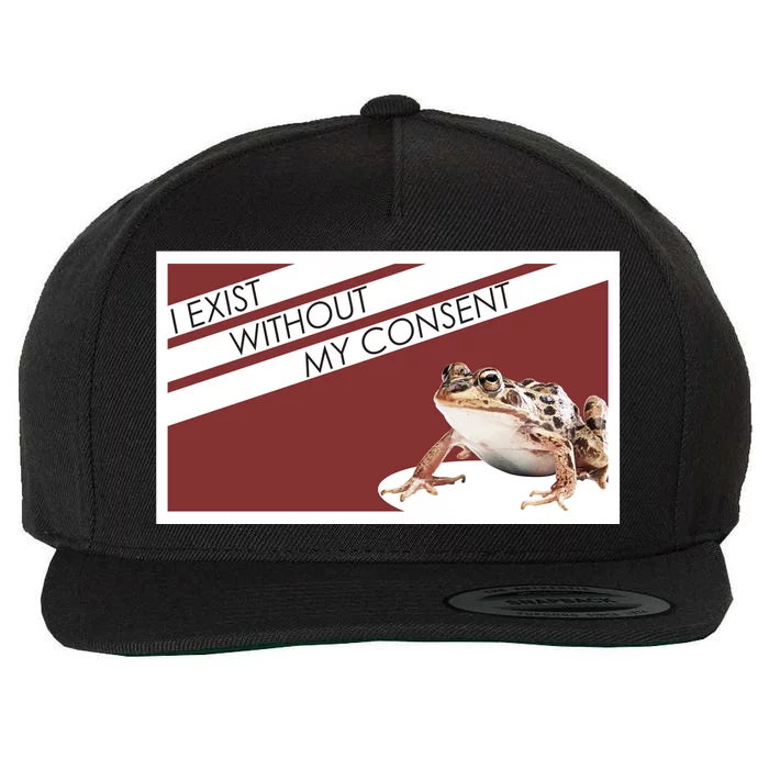 I Exist Without My Consent Funny Meme Frog Wool Snapback Cap