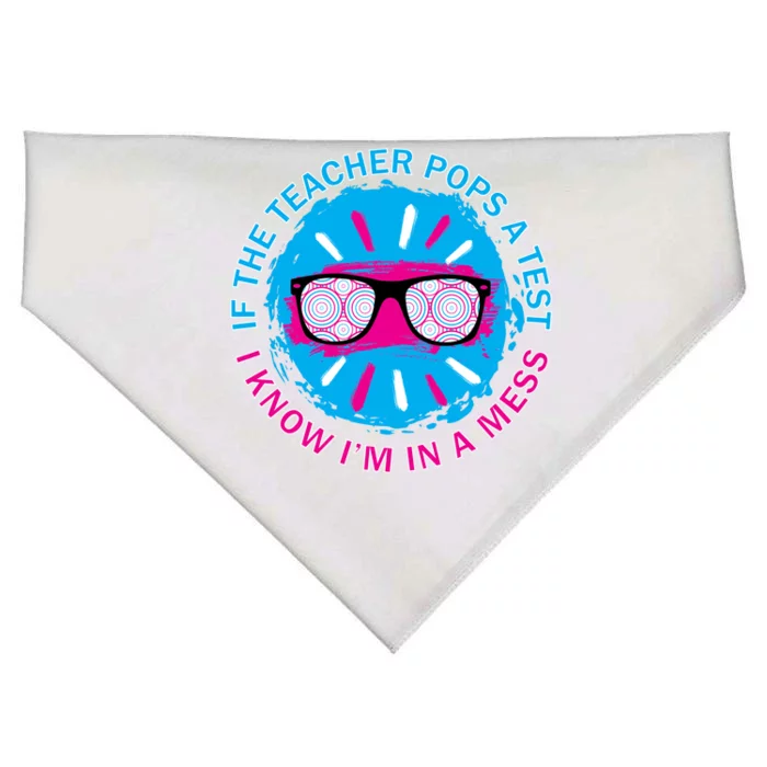 If The Teacher Pops A Test I Know I'm In A Mess USA-Made Doggie Bandana