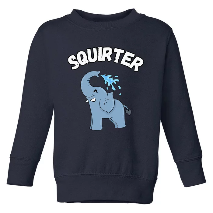 Inappropriate Funny Embarrassing Toddler Sweatshirt