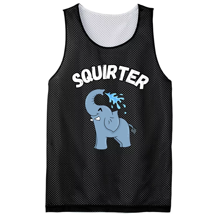 Inappropriate Funny Embarrassing Mesh Reversible Basketball Jersey Tank