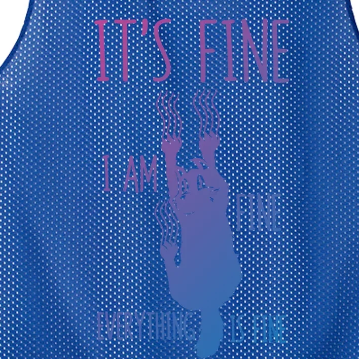 ItS Fine IM Fine Everything Is Fine Scratching Cat Funny Gift Mesh Reversible Basketball Jersey Tank