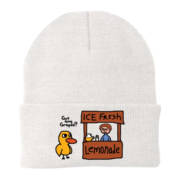 Ice Fresh Lemonade Got Any Grapes Duck Funny Knit Cap Winter Beanie