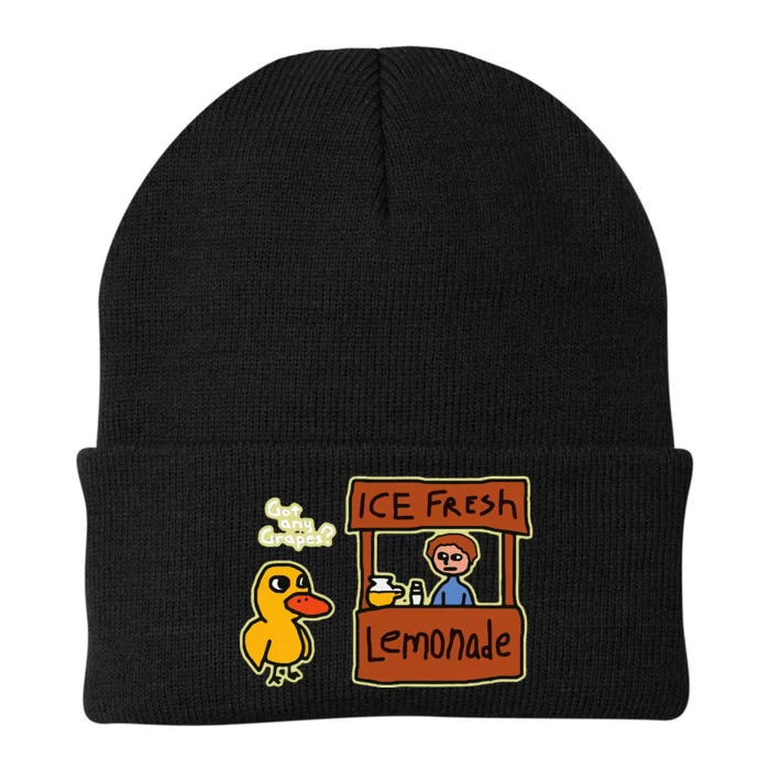 Ice Fresh Lemonade Duck Funny Got Any Grapes Knit Cap Winter Beanie