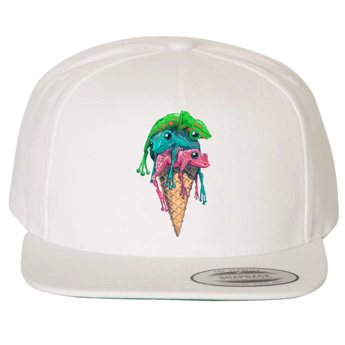 Icecream Frog Lover Food Funny Wool Snapback Cap