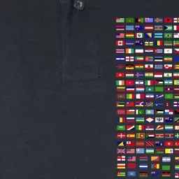 International Flags of the Countries of the World Softstyle Adult Sport Polo