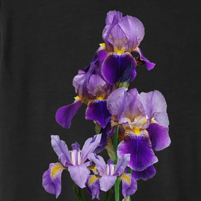 Irises Flower Plant Gardening Gardener Lover Tennessee ChromaSoft Performance T-Shirt