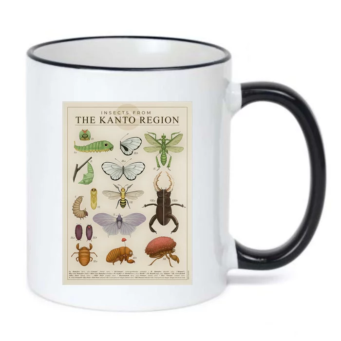 Insects From The Kanto Region Black Color Changing Mug