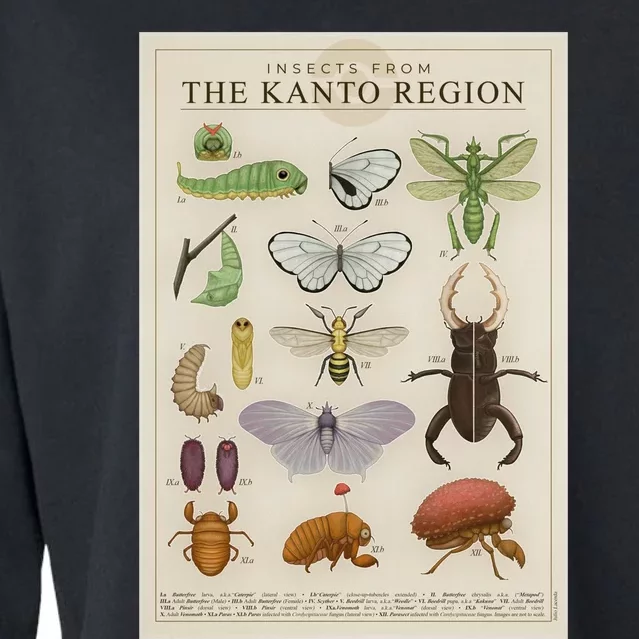 Insects From The Kanto Region Cropped Pullover Crew