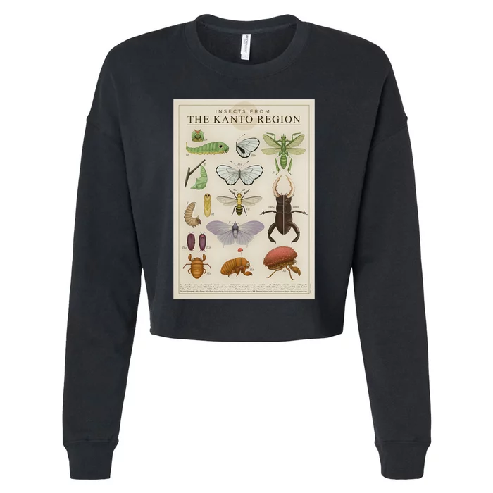 Insects From The Kanto Region Cropped Pullover Crew