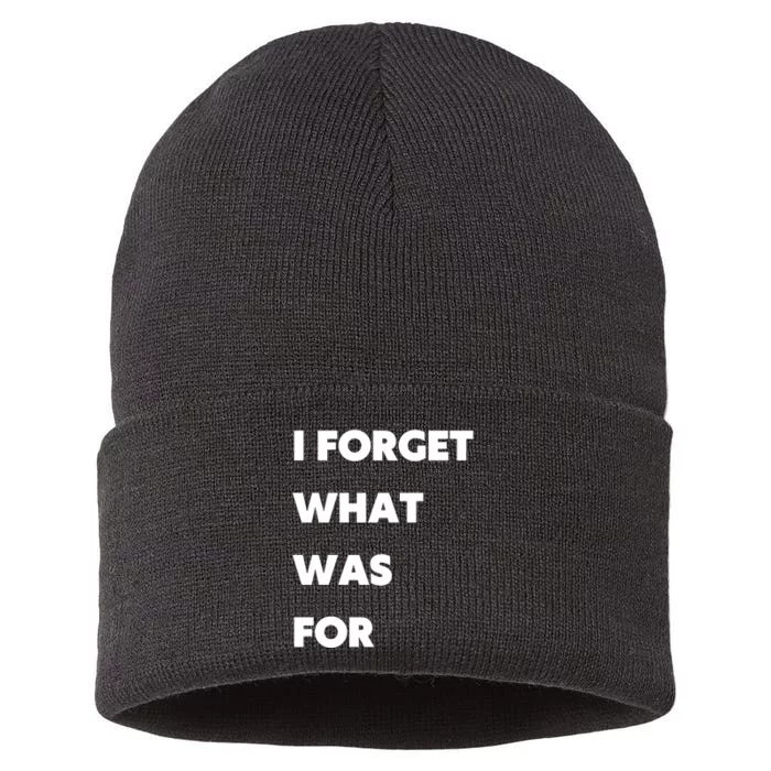 I Forget What 8 Was For Front & Back Sustainable Knit Beanie