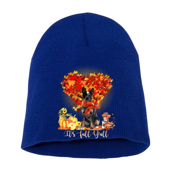 ItS Fall YAll Blue Heeler Dog Lovers Thanksgiving Gift Short Acrylic Beanie