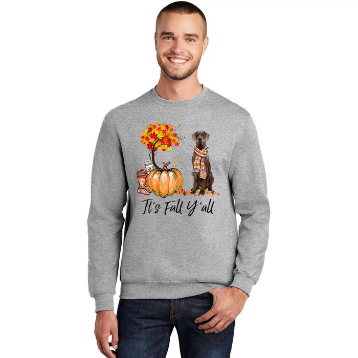 It's Fall Y'all Great Dane Dog Lovers Thanksgiving Halloween Tall Sweatshirt