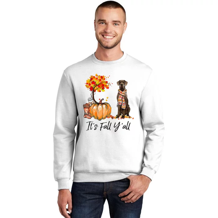 It's Fall Y'all Great Dane Dog Lovers Thanksgiving Halloween Sweatshirt