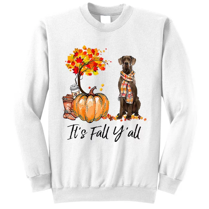 It's Fall Y'all Great Dane Dog Lovers Thanksgiving Halloween Sweatshirt