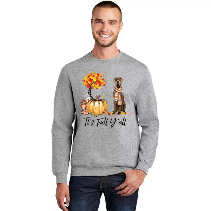 Its Fall Yall Great Dane Dog Lovers Thanksgiving Halloween Tall Sweatshirt