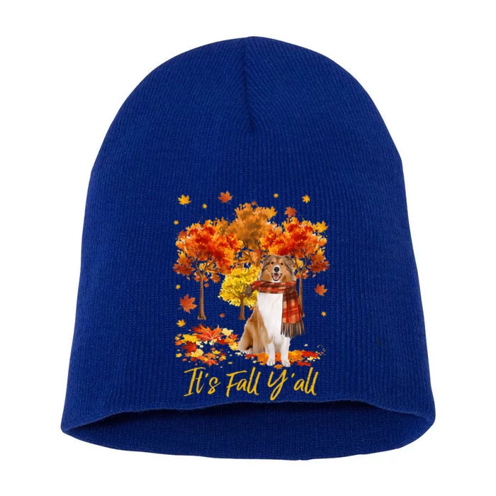 It's Fall Y'all Rough Collie Dog Tree Pumpkin Fall Autumn Short Acrylic Beanie