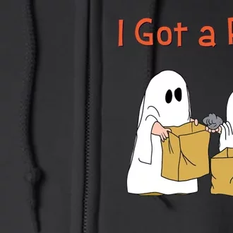 I Got A Rock Lazy Day Halloween Costume Funny Trick Or Treat Full Zip Hoodie