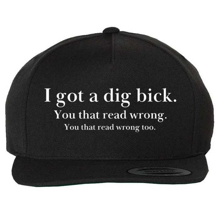 I Got A Dig Bick You That Read Wrong Too Wool Snapback Cap