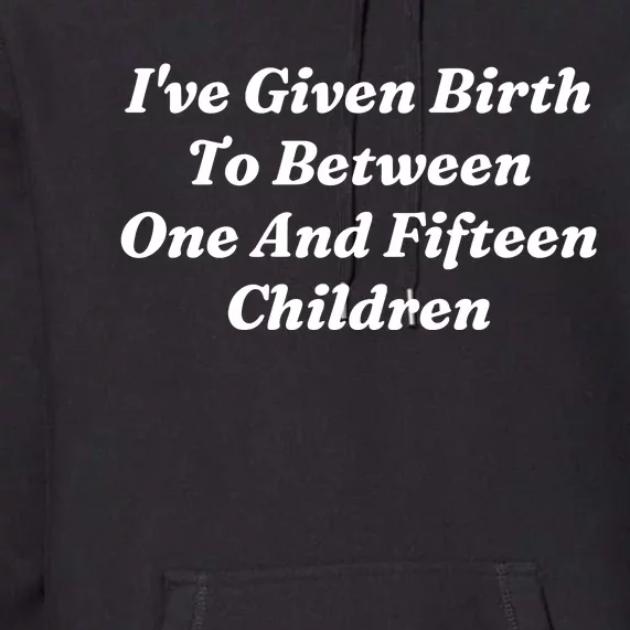 I’Ve Given Birth To Between One And Fifteen Children Funny MotherS Day Premium Hoodie