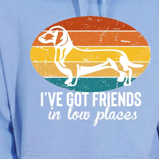 IVe Got Dachshund Friends In Low Places Gift Unisex Surf Hoodie