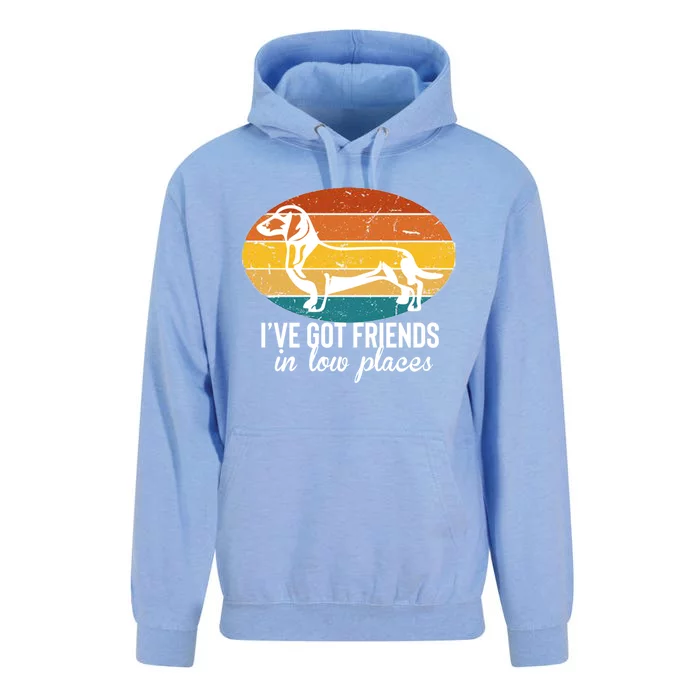 IVe Got Dachshund Friends In Low Places Gift Unisex Surf Hoodie