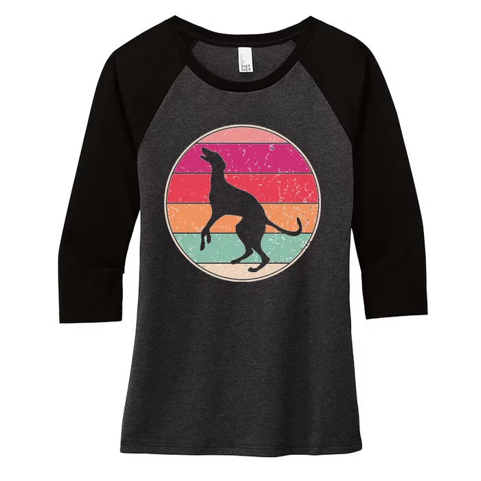 Intage Greyhound Dog Retro Pet Lover Dog Mom Distressed Women's Tri-Blend 3/4-Sleeve Raglan Shirt