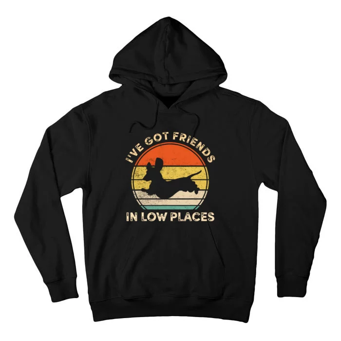 IVe Got Friends In Low Places Funny Dachshund Wiener Dog Tall Hoodie