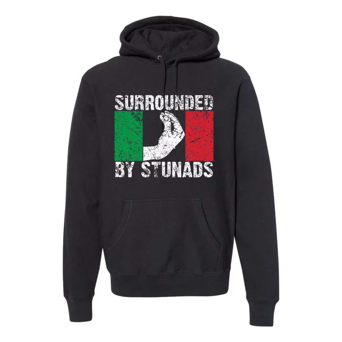 Italian Gift For Cool Surrounded By Stunads Premium Hoodie