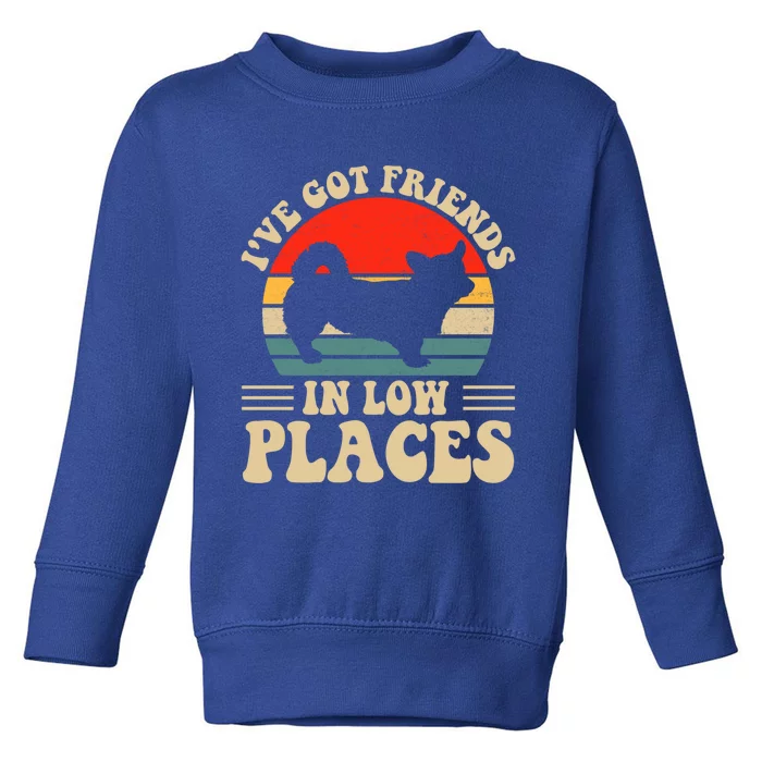 I've Got Friends In Low Places Pembroke Welsh Corgi Lover Gift Toddler Sweatshirt