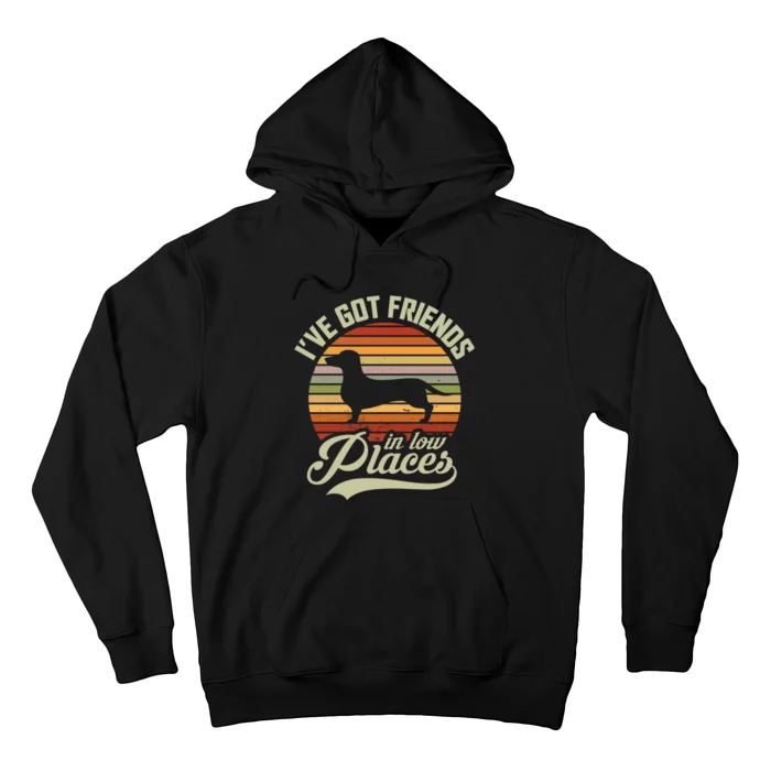 Ive Got Friends In Low Places Hoodie