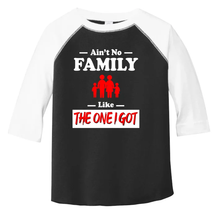 I Got Funny Family Reunion 2024 Toddler Fine Jersey T-Shirt