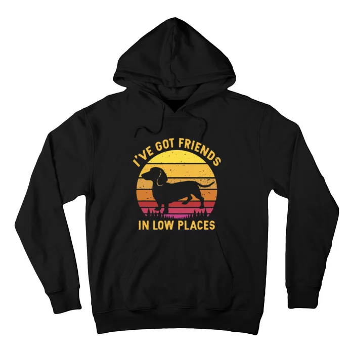 IVe Got Friends In Low Places Funny Dachshund Hoodie