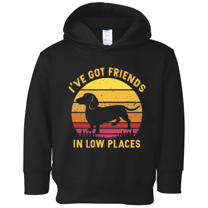 IVe Got Friends In Low Places Funny Dachshund Toddler Hoodie