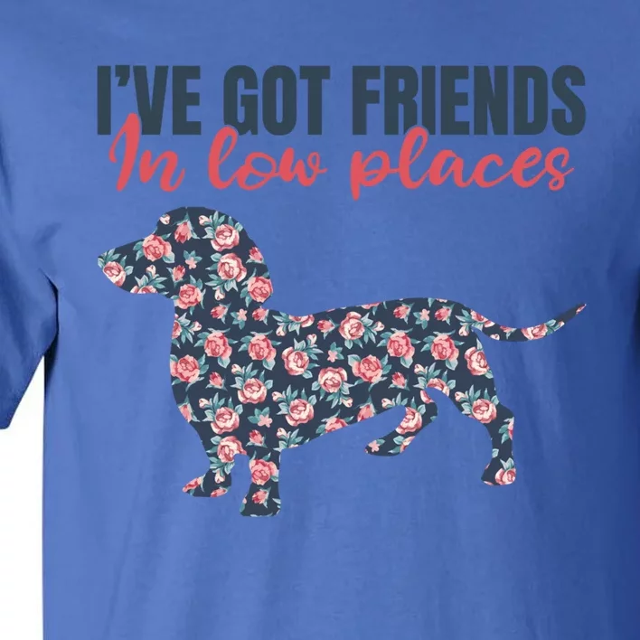 IVe Got Friends In Low Places Dachshund Weiner Doxie Dog Great Gift Tall T-Shirt