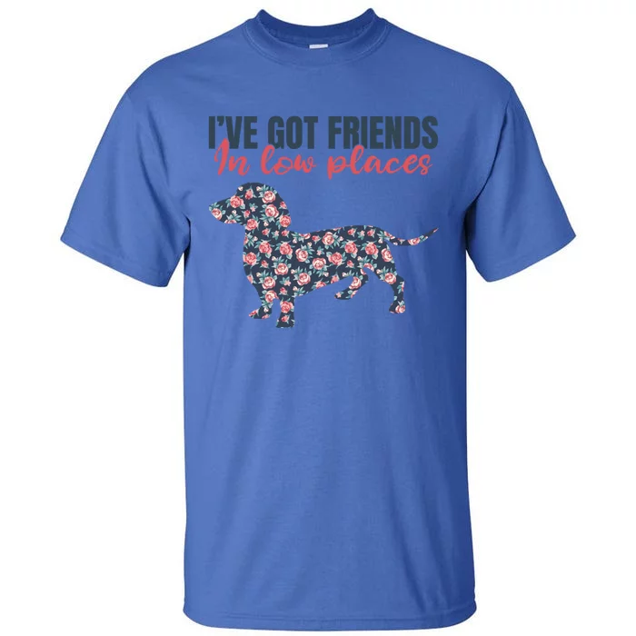 IVe Got Friends In Low Places Dachshund Weiner Doxie Dog Great Gift Tall T-Shirt