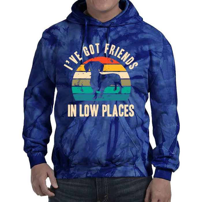 IVe Got Friends In Low Places Funny Dachshund Vintage Gift Tie Dye Hoodie