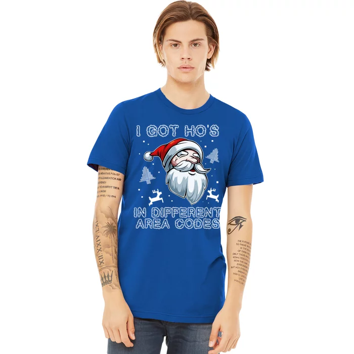 I Got Hos In Different Area Codes Santa Christmas Funny Gift Premium T-Shirt