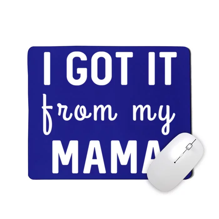 I Got It From My Mama Funny Stategift Mousepad